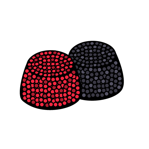 Pick 'n' Mix - Black & Raspberry Berries